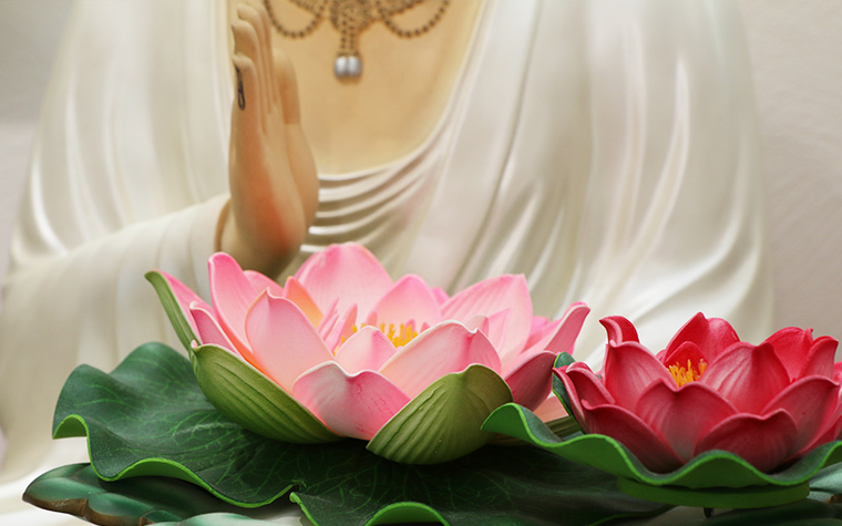矢部葬祭 蓮の花